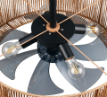 R66905036_4.png