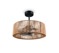 R66905036_8.png