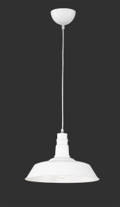 Lampa wisząca Will biały 1x60W R30421001 Reality