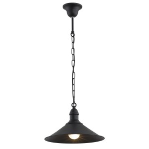 ERBA  lampa wisząca 1 pł.