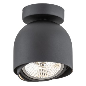 GARLAND plafon 1 pł.