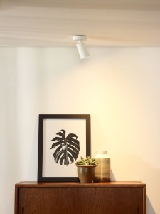 XYRUS LED 5W 3000K DIM spot regulowany biały żarówka LED GU10 ściemnialna w komplecie