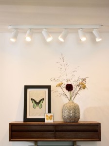 XYRUS LED 6x5W 3000K DIM spot regulowany biały żarówka LED GU10 ściemnialna w komplecie