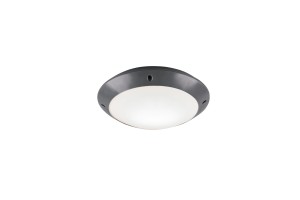 CAMARO R60501042 lampa zewnętrzna fi 26cm antracyt IP54 1xE27