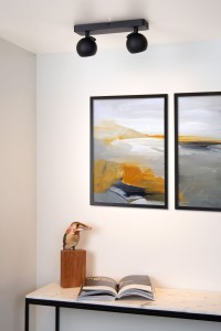 FAVORI spot czarne kulki fi 9cm 2xGU10 regulowany